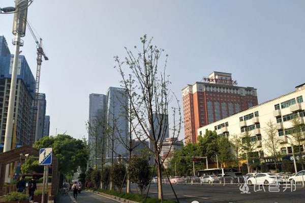 中南大学湘雅医院