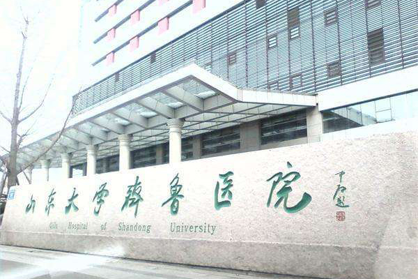 山东大学齐鲁医院