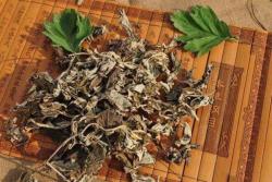 精子无力症检食疗有用吗