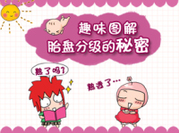 胎盘成熟度的检查