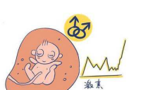 促黄体生成素高怎么办？