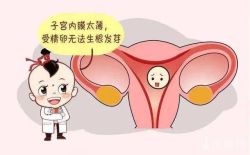 子宫内膜厚度薄的影响