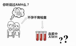 AMH检查最佳时间是什么时候？