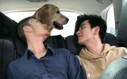 同性情侣可以在哪些国家做试管婴儿