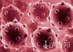 HPV（人乳头瘤病毒）怎样治疗?